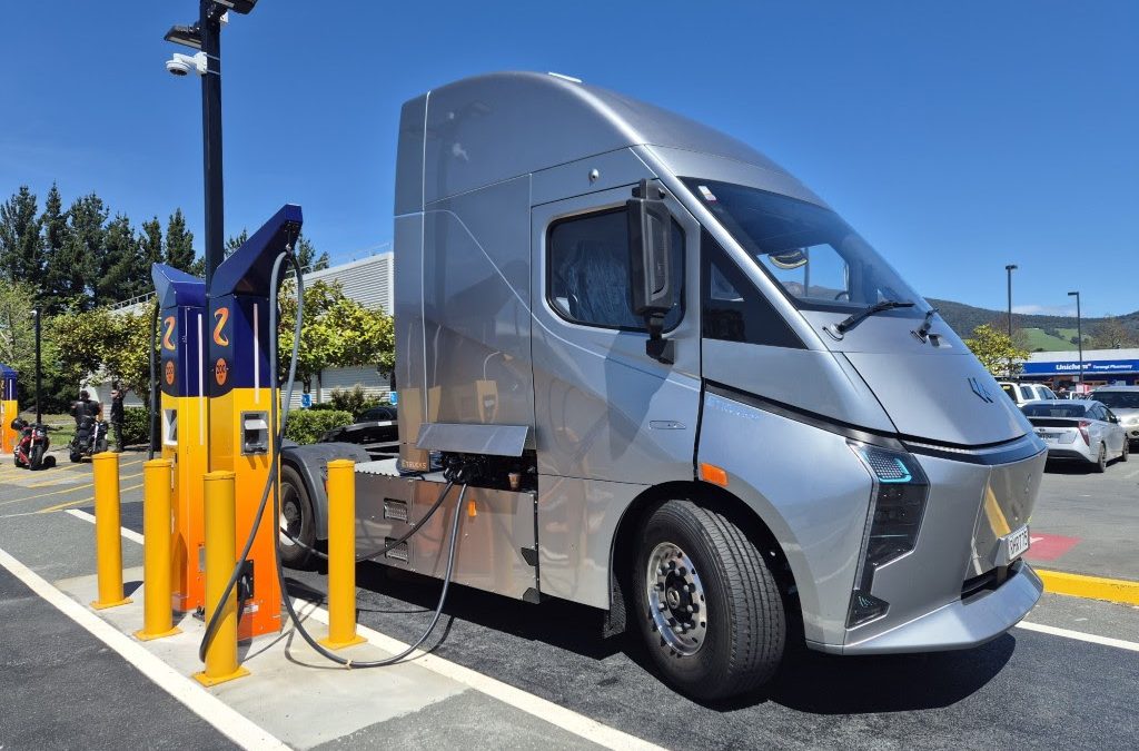 November 2025 Newsletter